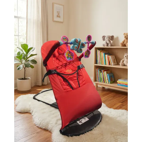 Baby bouncer
