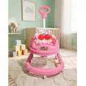 Baby Ball Walker 