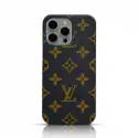 Premium Gucci & Louis Vuiton Case For iPhone
