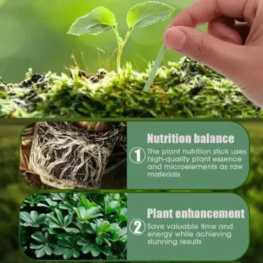 Plant Growth Fertilizer Stick for Indoor & Outdoor Gardening (1 Box = 18 Stick)