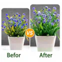 Plant Growth Fertilizer Stick for Indoor & Outdoor Gardening (1 Box = 18 Stick)