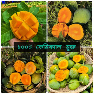20 কেজি গোবিন্দভোগ আ...