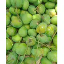 20 কেজি গোবিন্দভোগ আম