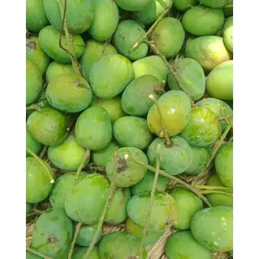 20 কেজি গোবিন্দভোগ আ...