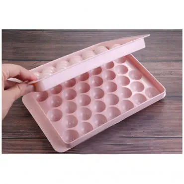 33 Girds Ice Tray (৩...