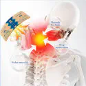Pain Relief Patch ৩ প্যাক ( ২১ পিস )