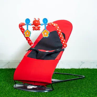 Love Baby Bouncer...