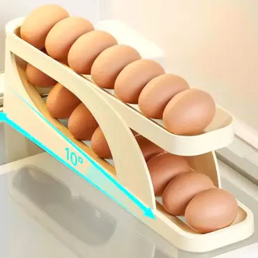 Refrigerator Egg Dis...