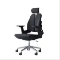 Ergonomic Chair