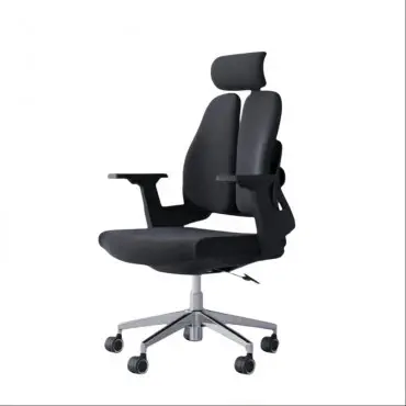 Ergonomic Chair...