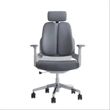 Ergonomic Chair...