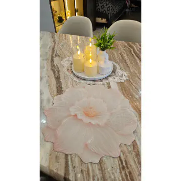✨ Only 6 Pcs Table Mat Set