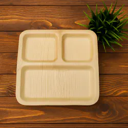 10 Inch Partition Plate- 6 PCS