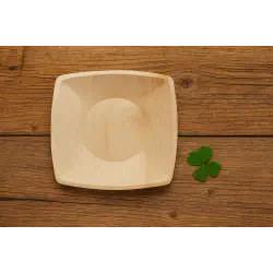 10 Inch Square Plate - 6 pcs