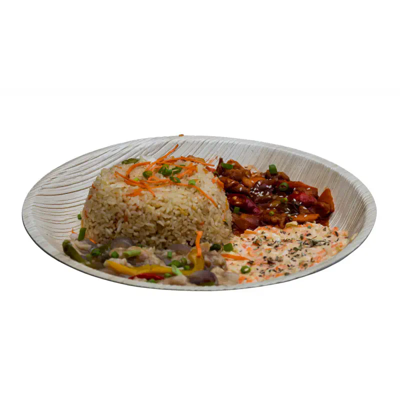 10 Inch Round Plate- 6 Pcs