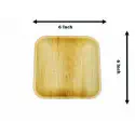 6 in Square Plate  - 6 Pcs