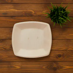 9 Inch Quad Square Plate- 6 Pcs