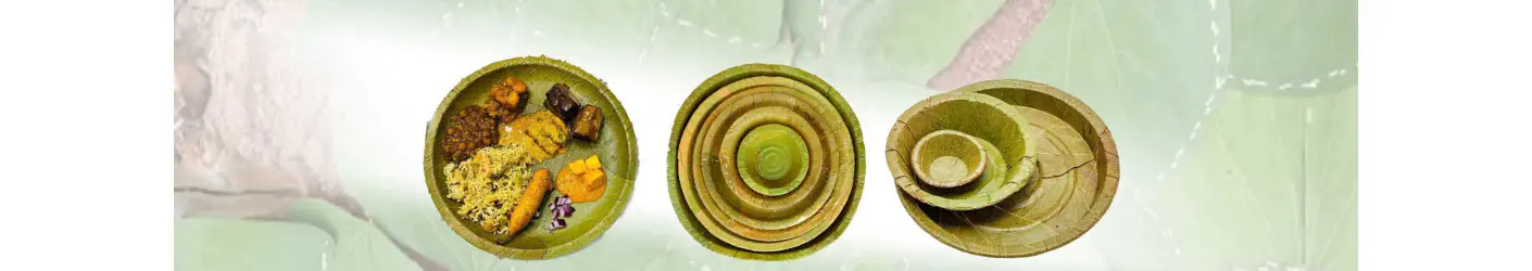 single banner image