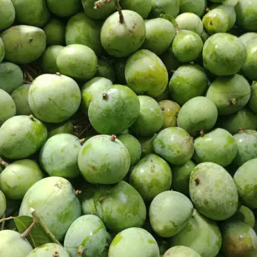 রাজশাহীর বিখ্যাত গোপ...