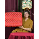 Saree Organizer 