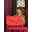 Saree Organizer 