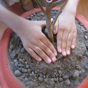 Green Easy Soil (রেড...