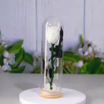 Real Natural Rose Pr...