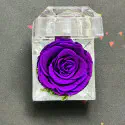রিয়েল পার্পেল প্রিজার্ভ গোলাপ ছোট সাইজ (A Grade)