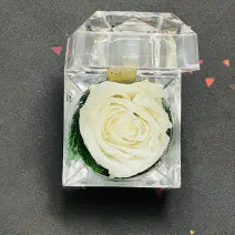 রিয়েল সাদা প্রিজার্ভ...