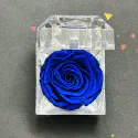 রিয়েল নীল প্রিজার্ভ গোলাপ ছোট সাইজ (B Grade)