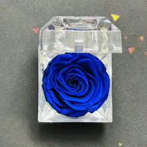 রিয়েল নীল প্রিজার্ভ ...