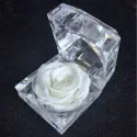 100% লাভ কম্ব। Small Rose Combo