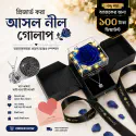 Large Preserved Rose Lighting System With Necklace Set