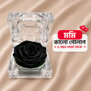ছোট সাইজের গাছের গোল...