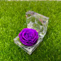100% লাভ কম্ব। Small Rose Combo