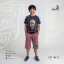 Newton