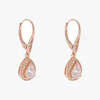 Anne Klein Earrings...