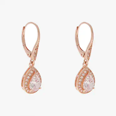Anne Klein Earrings...