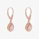 Anne Klein Earrings