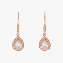 Anne Klein Earrings