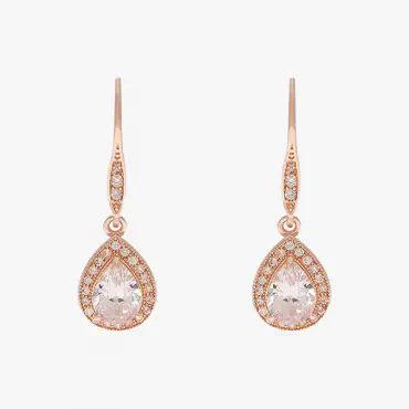 Anne Klein Earrings...