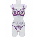 Transparent Bra and Panty Set