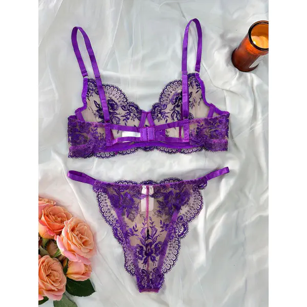 Transparent Bra and Panty Set