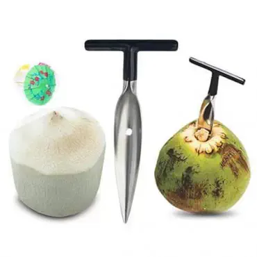 Stainless Steel Coconut Opener