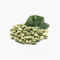Green Coffee...