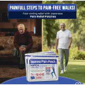 Japanese Pain Relief Patch (২ প্যাকেট ১৪ পিস )