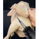 Electric Poultry Hair Puller