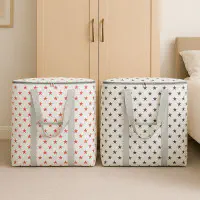 Printed Storage & Travel Bag ( ২ পিস  )