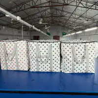 Printed Storage & Travel Bag ( ৩ পিস )