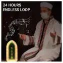 plug in Quran Illuminated Quran and Hadith speaker